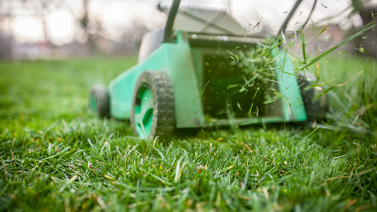 tips-to-keeping-your-home-lawn