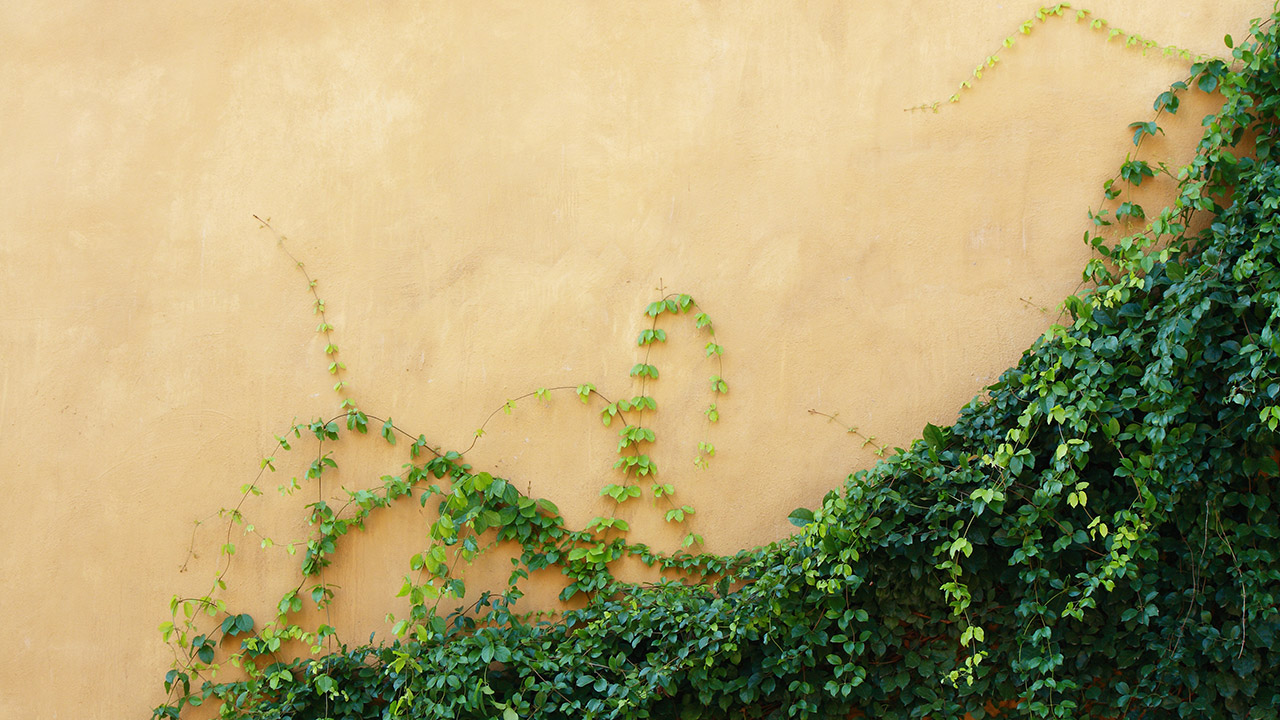 pros-and-cons-of-exterior-stucco-for-your-home-wall