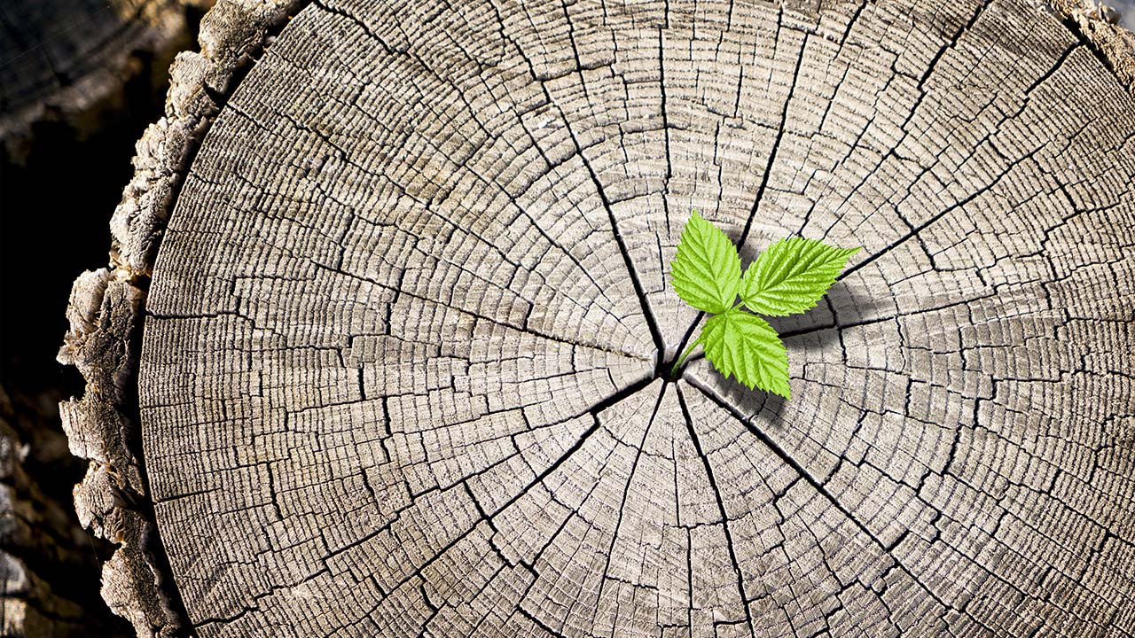 how-does-the-fha's-energy-efficient-mortgage-work-lifespan