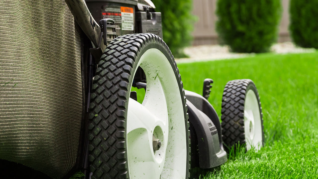 10-landscaping-mistakes-to-avoid-lawn